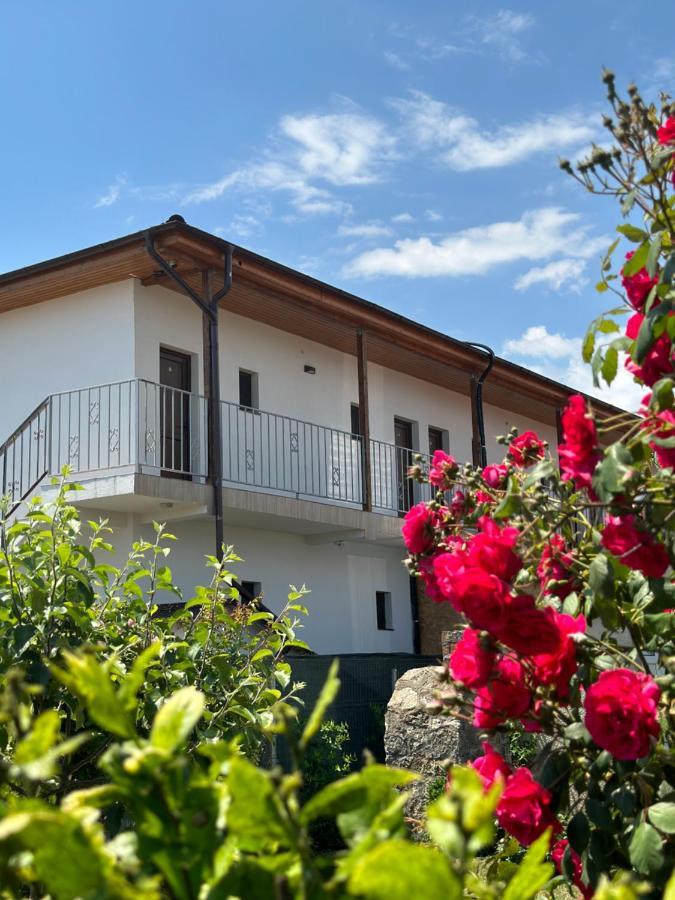 ואמה וקה Vila Bloom מראה חיצוני תמונה